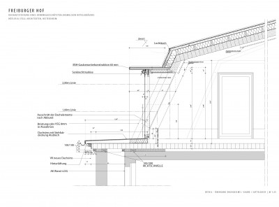 Schnitt Dachgesims/Gaube
