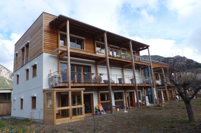 Building Cooperative Habrico