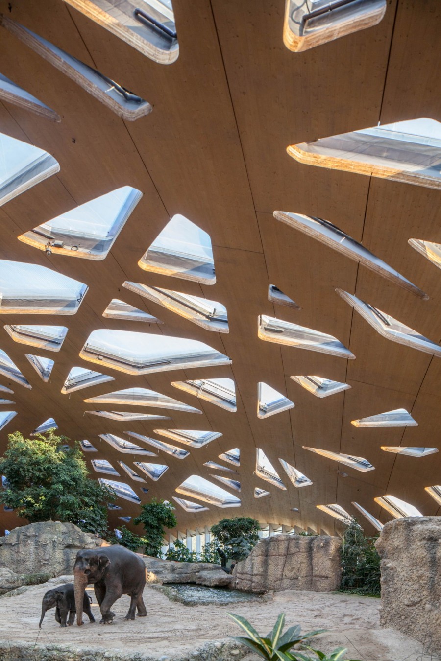 Habitat per elefanti